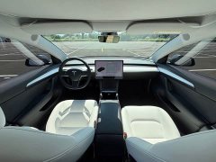 Tesla Model 3 Standard Range RWD Upgrade - ფოტო 7