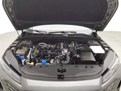 Changan Eado Blue Whale 1.5T 500Bar Luxury - ფოტო 6