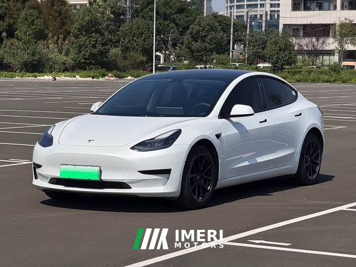 Tesla Model 3 Standard Range RWD Upgrade 3D6