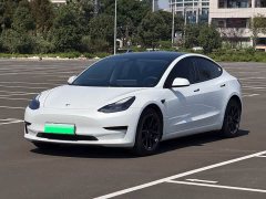 Tesla Model 3 2021 Standard Range RWD Upgrade 3D6 - ფოტო 1