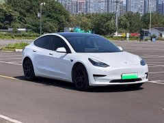 Tesla Model 3 2021 Standard Range RWD Upgrade 3D6 - ფოტო 2