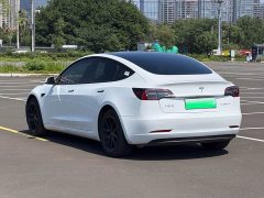 Tesla Model 3 2021 Standard Range RWD Upgrade 3D6 - ფოტო 4