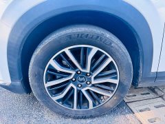 Weltmeister WM Motor W6 520km NEX Explorer Edition - photo 10
