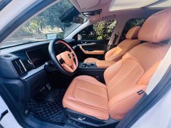 Weltmeister WM Motor W6 520km NEX Explorer Edition - photo 13