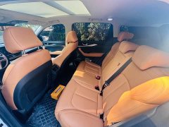 Weltmeister WM Motor W6 520km NEX Explorer Edition - photo 14