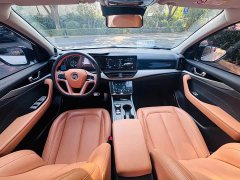 Weltmeister WM Motor W6 520km NEX Explorer Edition - photo 15