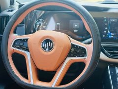 Weltmeister WM Motor W6 520km NEX Explorer Edition - photo 17