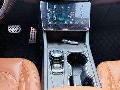 Weltmeister WM Motor W6 520km NEX Explorer Edition - photo 18
