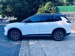 Weltmeister WM Motor W6 520km NEX Explorer Edition - photo 4