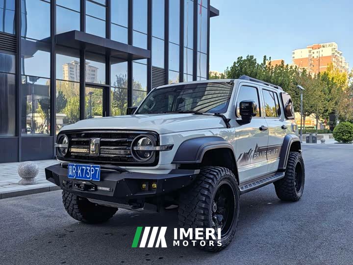 Tank 300 Off-Road Edition 2.0T Conqueror - ავტომობილი ჩინეთიდან