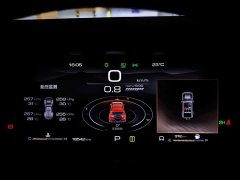 Tank 300 Off-Road Edition 2.0T Conqueror - ფოტო 13