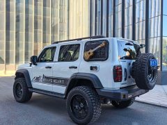 Tank 300 Off-Road Edition 2.0T Conqueror - ფოტო 17