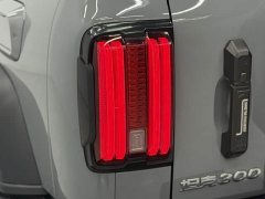 Tank 300 2021 Off-Road Edition 2.0T Conqueror - ფოტო 12