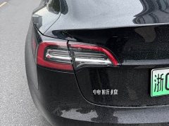 Tesla Model 3 Standard Range RWD Upgrade - ფოტო 11