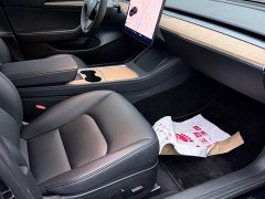 Tesla Model 3 Standard Range RWD Upgrade - ფოტო 15