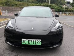 Tesla Model 3 Standard Range RWD Upgrade - ფოტო 2
