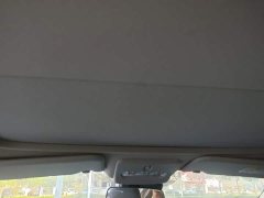 Nissan Qashqai 2.0L CVT XV Premium Luxury - ფოტო 14