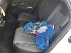 BYD Qin L DM-i 120KM Leading Edition - ფოტო 13