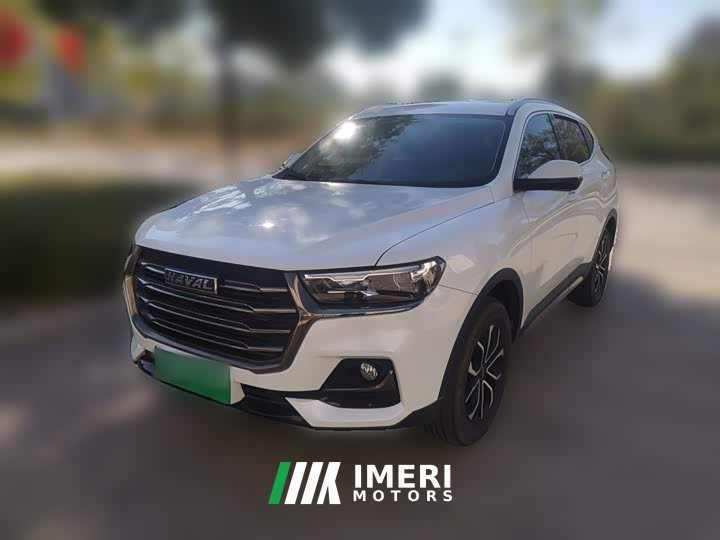 Haval H6 2021 National Trend Edition 1.5T Automatic Urban Version - ავტომობილი ჩინეთიდან
