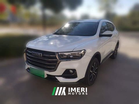 2023 Haval H6 2021 National Trend Edition 1.5T Automatic Urban Version - ავტომობილი ჩინეთიდან