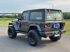 Jeep Wrangler 2021 2.0T Sahara Two-Door - ფოტო 6