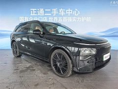 XPeng G9 725 Max - ფოტო 3