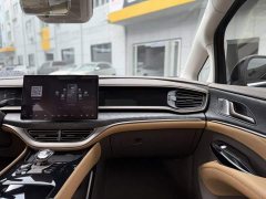 Denza BYD Denza D9 2022 DM-i 1040 Premium - ფოტო 9