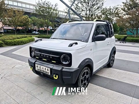 2024 Geely Panda 200km Panda Knight - ავტომობილი ჩინეთიდან