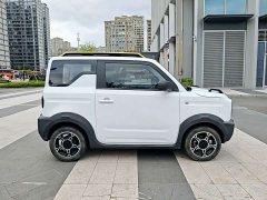 Geely Panda 200km Panda Knight - ფოტო 4
