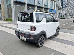 Geely Panda 200km Panda Knight - ფოტო 5