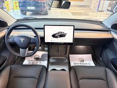 Tesla Model 3 Performance All-Wheel Drive - ფოტო 12
