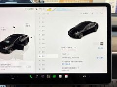 Tesla Model 3 Performance All-Wheel Drive - ფოტო 16