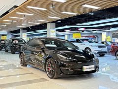 Tesla Model 3 Performance All-Wheel Drive - ფოტო 7