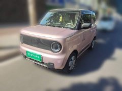 Geely Panda 2023 Panda Mini 200km Endurance Edition - ფოტო 1