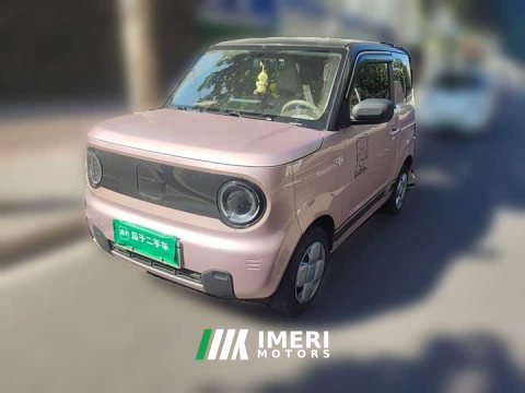 2024 Geely Panda 2023 Panda Mini 200km Endurance Edition - ავტომობილი ჩინეთიდან
