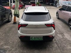 Neta V Long-Range Entertainment Edition - ფოტო 4