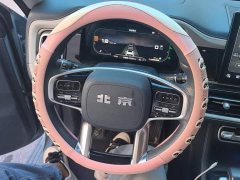 Beijing Jeep BJ60 2022 2.0T Eleventh Edition Five-Seater - ფოტო 15