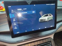 BYD Qin PLUS Glory Edition DM-i 55KM Leading - ფოტო 20