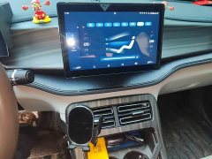 BYD Qin PLUS Glory Edition DM-i 55KM Leading - ფოტო 9