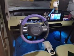 Geely Panda 2023 Panda Mini 200km Endurance Edition - ფოტო 6