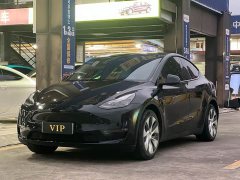 Tesla Model Y Long Range All-Wheel Drive - ფოტო 1