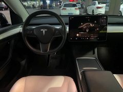 Tesla Model Y Long Range All-Wheel Drive - ფოტო 8