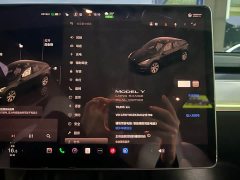 Tesla Model Y Long Range All-Wheel Drive - ფოტო 9