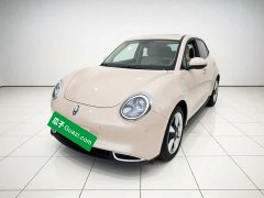 ORA Good Cat 400km Standard Range Athena Edition Ternary Lithium - ფოტო 1