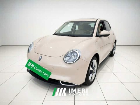 2021 ORA Good Cat 400km Standard Range Athena Edition Ternary Lithium - ავტომობილი ჩინეთიდან
