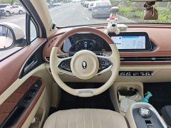 ORA Good Cat 400km Standard Range Athena Edition Ternary Lithium - ფოტო 11