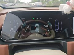 ORA Good Cat 400km Standard Range Athena Edition Ternary Lithium - ფოტო 12