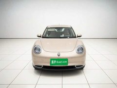 ORA Good Cat 400km Standard Range Athena Edition Ternary Lithium - ფოტო 2