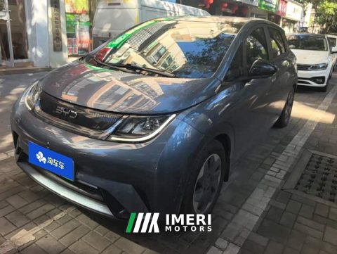 2024 BYD Dolphin 2025 420km Fashion Edition - ავტომობილი ჩინეთიდან