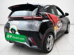 BYD Seagull Freedom Edition - ფოტო 6